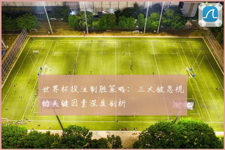 世界杯投注制胜策略：三大被忽视的关键因素深度剖析