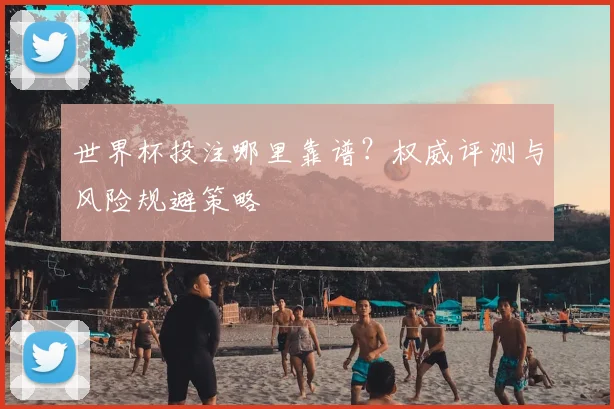 世界杯投注哪里靠谱？权威评测与风险规避策略