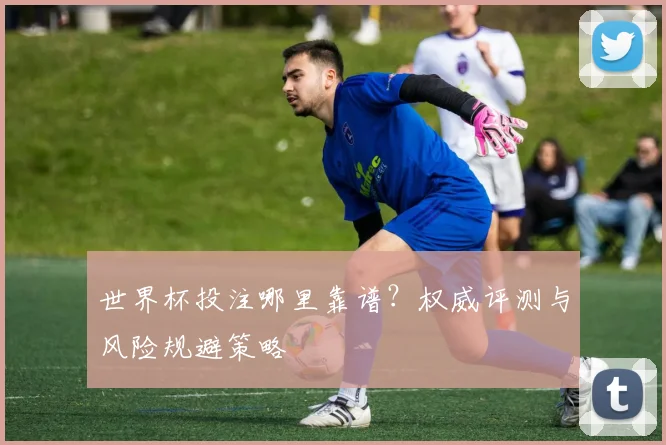 世界杯投注哪里靠谱？权威评测与风险规避策略
