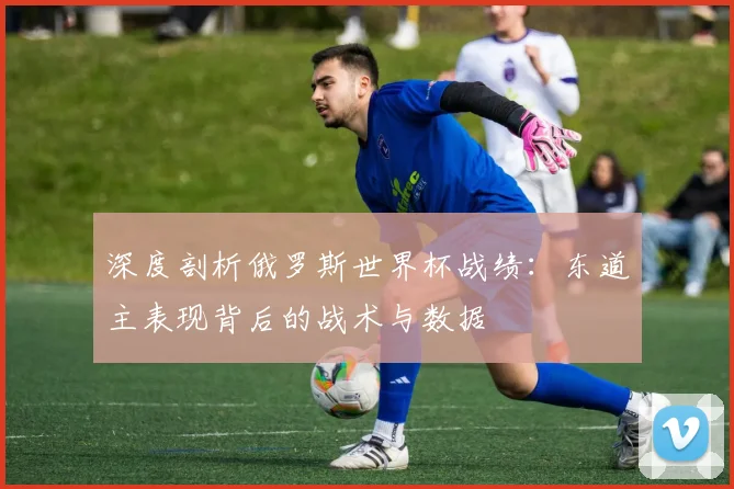 深度剖析俄罗斯世界杯战绩：东道主表现背后的战术与数据
